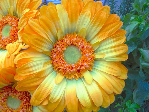 426051 (a): :1280x960
